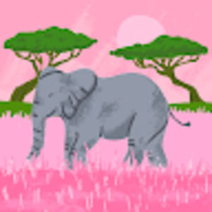 Meet your Posher, Malia